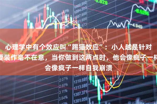 心理学中有个效应叫“踢猫效应”:小人越是针对你,你越要装作毫不在意,当你做到这两点时,他会像疯子一样自我崩溃